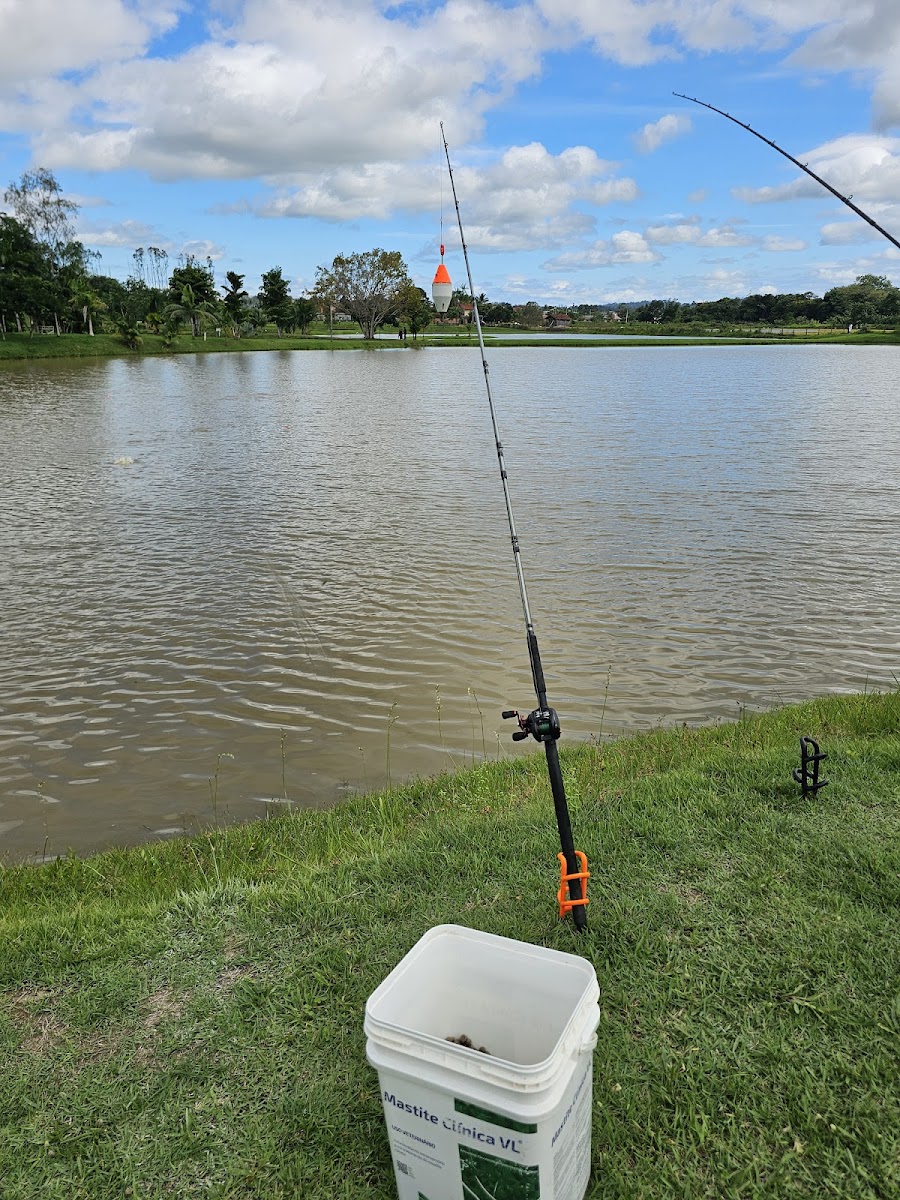 Pesque E Pague Pantanal-4